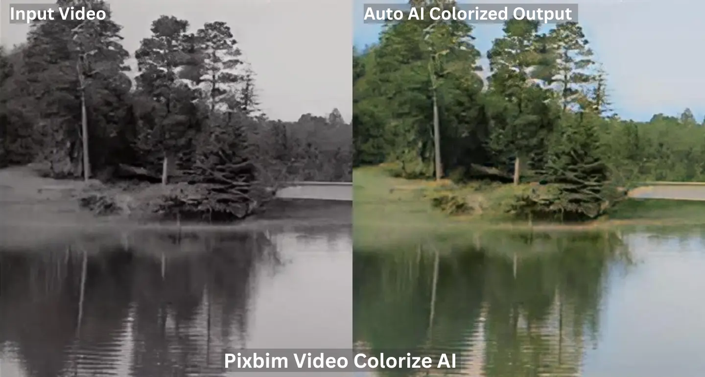 Side-by-side comparison screenshot displaying a black and white video frame alongside its auto-colorized output by Pixbim Video Colorize AI